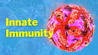 The Cells of Innate Immunity and Mechanism [upl. by Oiramrej998]