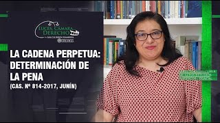 LA CADENA PERPETUA DETERMINACIÓN DE LA PENA  LCD 192 [upl. by Dream]