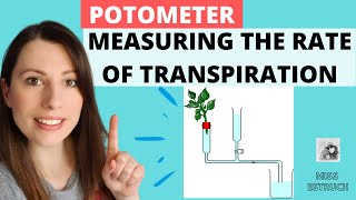 Potometer Experiment  Measuring the rate of transpiration Alevel Biology Experiment [upl. by Howes]