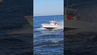 Dauntless Party Boat Has A Speedy Regulator On Its Tail  Manasquan Inlet [upl. by Aneladgam]