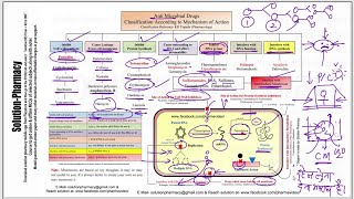 Antibiotics Classification with Mechanism of Action Site of Action and Mnemonics  Antibacterial [upl. by Eleen]