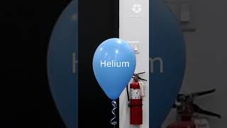 Haydogan balloon vs Helium balloon experiment scienceexperimentwithwater [upl. by Apgar]