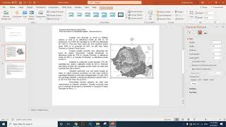 Competente Digitale 2019 V1 Subiectul III 2 PowerPoint [upl. by Jet]