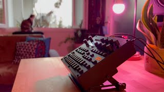 Digitone II  Cora  IDM [upl. by Leavitt]