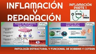 INFLAMACIÓN Y REPARACIÓN PATOLOGÍA ROBBINS  GuiaMed [upl. by Sand]