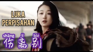 伤离别  Shang Li Bie  魏新雨 • Wei Xin Yu • Luka Perpisahan  Lagu Mandarin Lirik Indonesia  Pinyin [upl. by Magna460]