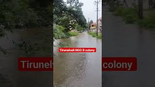 Heavy Rain in Tirunelveli NGO B ColonyTirunelveli heavyrain rainsounds Rain alter travel [upl. by Kinchen]