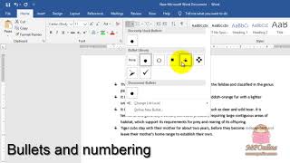 MS Word  Paragraphs Bullets and numbering Alignment Line Spacing Border Shading Indent [upl. by Cralg31]