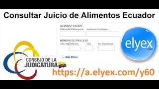 Cómo saber si tengo una Demanda de Alimentos [upl. by Sibylla430]