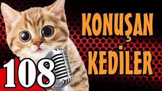 Konuşan Kediler 108  En Komik Kedi Videoları  PATİ TV [upl. by Adham333]