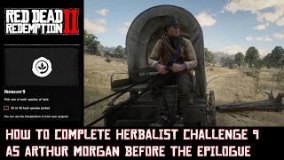 RDR 2 How to complete Herbalist Challenge 9 as Arthur Morgan [upl. by Acsot]