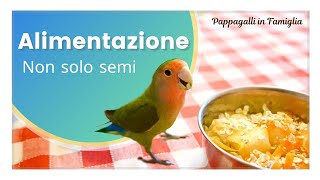 Alimentazione Pappagalli [upl. by Adnaw]