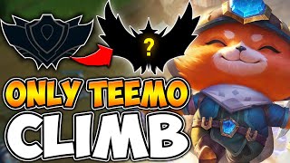 TEEMO TO CHALLENGER  ZWAG [upl. by Anabella]