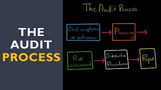 The Audit Process [upl. by Nylyak]