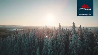 visitblackforest  Stimmungsvoller Advent im Schwarzwald [upl. by Gifford]