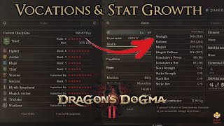 Dragons Dogma 2  Vocations amp Stat Growth [upl. by Nylassej]