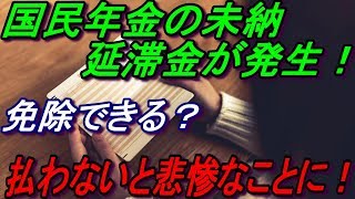 国民年金の未納で延滞金が発生！延滞金て免除できる？払わないと悲惨のことに！ [upl. by Zeuqram]