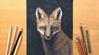 Colored Pencil Drawing of a Fox [upl. by Airyk21]