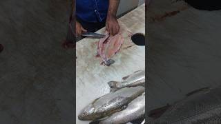 How to remove the salmon bone and fillet it easily fishcuting [upl. by Meeharb]