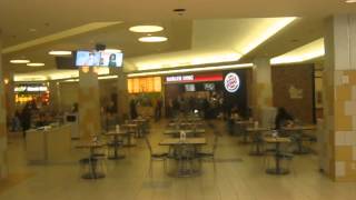 Otis escalators at Cherryvale mall food court in Rockford IL [upl. by Lapham]