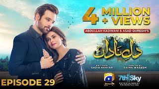 DileNadan Episode 29  Eng Sub  Mikaal Zulfiqar  Amar Khan  Ali Abbas  19th November 2024 [upl. by Cutty]