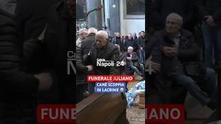 Funerale Antonio Juliano CANÉ scoppia in lacrime 😭🥺 Juliano [upl. by Nylak]