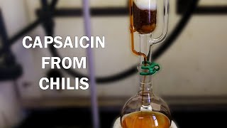 How to extract capsaicinoids from chili peppers [upl. by Edasalof337]