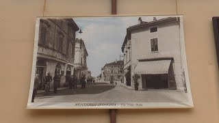 Monticelli d’Ongina PC per la festa di San Martino alla scoperta dei palazzi storici con il FAI [upl. by Etnoval]