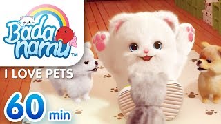 I Love Pets  Badanamu Compilation l Nursery Rhymes amp Kids Songs [upl. by Elizabet643]