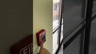 Notifier N16x Fire Alarm Test w Voice Evac [upl. by Shantha]