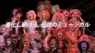 劇団四季：キャッツ：広島公演プロモーションVTR（2024年） [upl. by Albina]