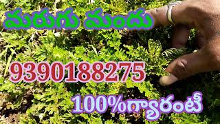 marla mandu in Telugu 9390188275 [upl. by Driscoll]