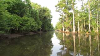 Houma Louisiana Bayou [upl. by Gnilsia]