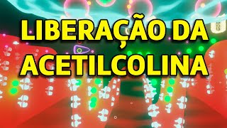 Liberação da Acetilcolina do motoneurônio alfa [upl. by Gaston]