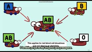 Biology with SPANISH through AMOEBA SISTERS  Multiple Alleles ABO Blood Types and Punnett Squares [upl. by Cicely178]