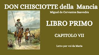 DON CHISCIOTTE DELLA MANCIA di Miguel Cervantes LIBRO PRIMOCAPITOLO 7 [upl. by Arand]