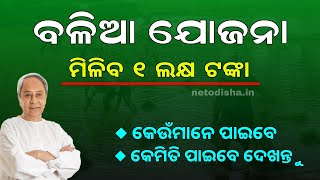 Odisha Balia Yojana 2023  Odisha Balia Yojana 1 Lakh Loan  Balia Yojana Apply [upl. by Fredric]