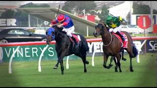 2013 Magic Millions National Sale PreviewPromo [upl. by Nelyt]