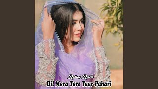 Dil Mera Tere Yaar Pahari [upl. by Channa]