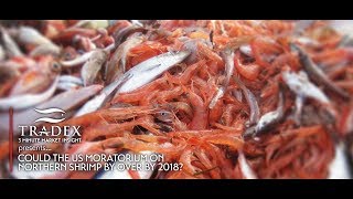 3MMI  Could the US Moratorium on Northern Shrimp by Over by 2018 [upl. by Ennove]