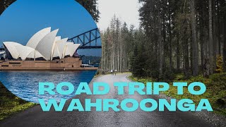 ROAD TRIP TO WAHROONGA [upl. by Hough63]