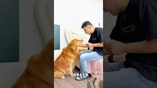 DOGI MEMBELI OBAT‼️ shorts dubbing shortvideo reaction foryou story [upl. by Nivrem45]