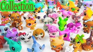 LPS Collection Tour Haul Series Videos Littlest Pet Shop Mommies School Sharks Cookieswirlc Part 1 [upl. by Resiak]