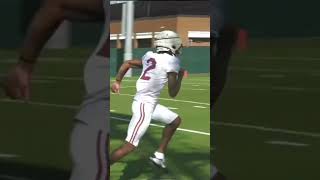 Ryan Williams Alabama  Three touchdowns in two games [upl. by Aitnyc]