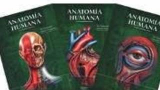 Descargar Libros de Anatomía Humana de Quiroz por Mega [upl. by Eniala]