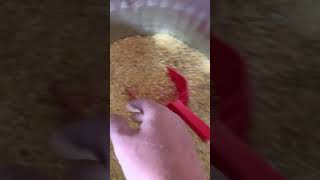 Fermenting chicken feed [upl. by Nayra]