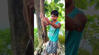 Fishing  New best hook fishing video fishing shorts [upl. by Enilec274]