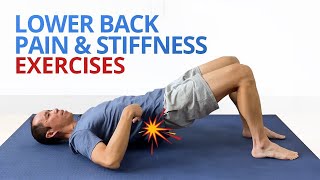 Back pain physiotherapy treatment [upl. by Stiruc]