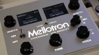 Mellotron M4000D Demo Part 1  Keyboard  Vintage King [upl. by Goldenberg]