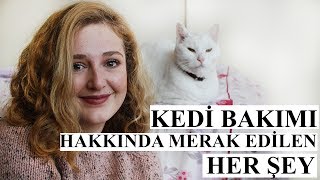 Kedi Bakımı Hakkında Merak Ettiğiniz Her Şey [upl. by Aurea374]